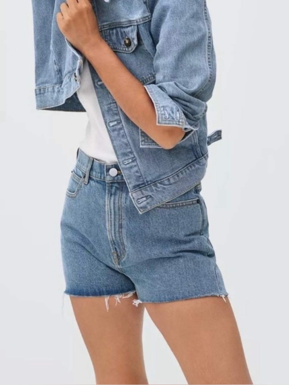 Everlane The Way High Denim Short Size 27